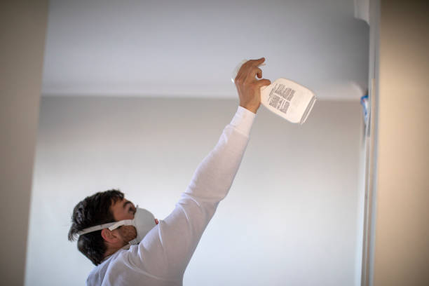 Best Residential Mold Remediation in Caro, MI