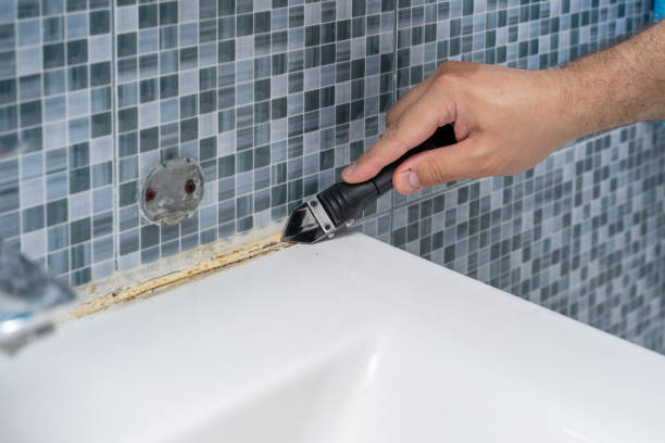 Best Post-Flood Mold Remediation in Caro, MI